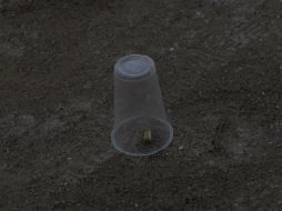 Testigos identifican al agresor, pero logró escapar a pesar del dispositivo policíaco que implemento el Mando Único en la zona. EL INFORMADOR / ARCHIVO