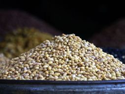 Cerca del 30 por ciento del frijol que se consumió en México el año pasado fue de importación. EL INFORMADOR / ARCHIVO