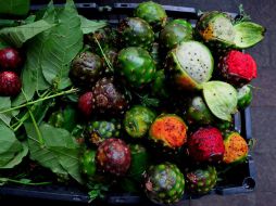 Los comerciantes dicen que las pitayas se venden muy bien, incluso algunos clientes las buscan antes de que estas lleguen a las ciudad. EL INFORMADOR / ARCHIVO