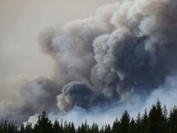 El fuego se ha extendido a 57 mil hectáreas en las últimas 24 horas. AP / C. Burston