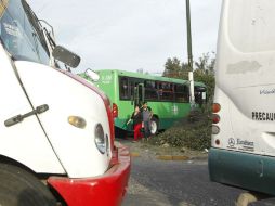 En poco más de 11 años han muerto 539 personas en accidentes relacionados con el transporte público. EL INFORMADOR / E. Barrera
