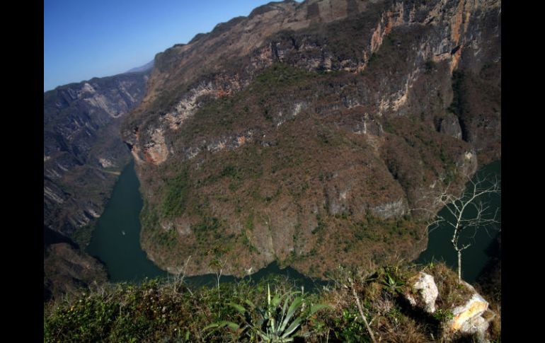 En este Día de la Diversidad biológica, invitan a reflexionar sobre la importancia del patrimonio natural del país. NTX / ARCHIVO