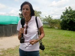 Salud Hernández realizaba un reportaje sobre cultivos ilícitos. La incertidumbre de su paradero continúan en aumento. AFP / ARCHIVO