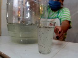 Dos cucharadas de chía brindan hasta cinco gramos de proteína y se puede combinar con agua, un smoothie o hasta en tu yogur. NTX / ARCHIVO