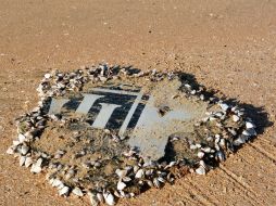 Australia lidera un operativo en el que también participan Malasia y China que busca los restos del avión. AFP / S. Luckhoff