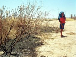 En su reporte diario, la delegación del organismo federal precisó que dicha lectura se tomó en la estación de Hermosillo. NTX / ARCHIVO