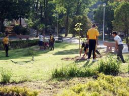 La organización Extra A.C. da árboles a las personas que llegaron con el compromiso de cuidarlos y estar al pendiente de ellos. ESPECIAL / Gobierno de Guadalajara