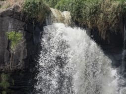 Esta acción busca resolver el problema de acumulación de contaminantes en el medio ambiente. EL INFORMADOR / ARCHIVO