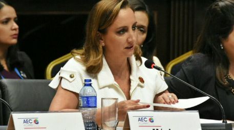 Ruiz Massieu reiteró el compromiso de México de dar continuidad a los proyectos de cooperación. TWITTER / @SRE_mx