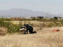 El cuerpo es trasladado a la morgue para la práctica de la autopsia y a la espera de identificación. EFE / ARCHIVO