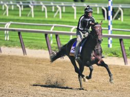 “Exaggerator” realiza un recorrido de entrenamiento en la pista del Belmont Park donde hoy partirá como el favorito. AP / J. Jacobson