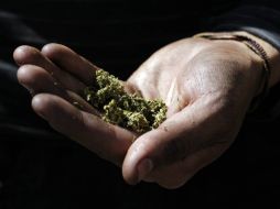 Investigadores trabajan en el desarrollo de medicamentos cannabinoides para quitar el dolor que se presenta tras la quimioterapia. EL INFORMADOR / ARCHIVO