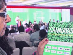 En el contexto del trabajo del Senado, diversos foros se han realizado en el auge del debate por el uso de la mariguana medicinal. SUN / ARCHIVO