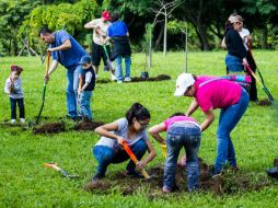 Buscan evitar la degradación de suelos, pues se pierden nutrientes que permiten desarrollar actividades productivas. EL INFORMADOR / ARCHIVO