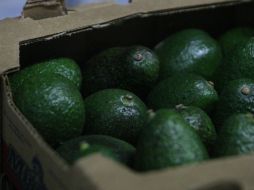 En estados como Puebla, el alimento reportó bajas en sus precios mientras que en esta Entidad registra precios elevados. EL INFORMADOR / ARCHIVO