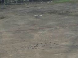 No se ha identificado a la persona ni se pudo obtener testimonio que describiera a los agresores. ESPECIAL /