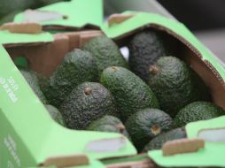 Los productos con los precios más altos en la primera mitad de junio estuvieron el aguacate, naranja, chayote, entre otros. EL INFORMADOR / ARCHIVO