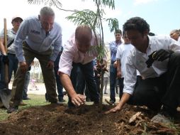 Los árboles que se tienen para plantar son: arrayán, granada, níspero, guayaba fresa, rosa morada, jacarandas, huajes, entre otros. EL INFORMADOR / R. Tamayo