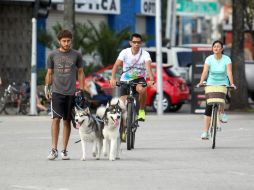El arranque de esta Vía RecreActiva estaba previsto para abril. EL INFORMADOR / ARCHIVO