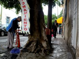 Zapopan y Guadalajara tienen identificados cerca de cuatro mil 500 árboles en riesgo. EL INFORMADOR / A. Hinojosa