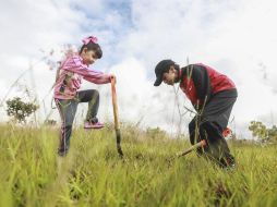 Piden a los ciudadanos a crear conciencia de la importancia que tiene sembrar y cuidar un árbol. EL INFORMADOR / ARCHIVO
