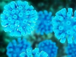 En los últimos tres años se han aprobado una serie de medicamentos para atacar el virus de la hepatitis C. EFE /