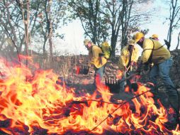 Autoridades estatales y federales han alistado un programa para la recuperación de las áreas dañadas durante el temporal. EL INFORMADOR / A. Camacho