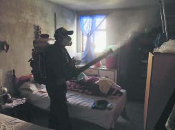 Por el temporal de lluvias, la Secretaría de Salud ha intensificado el combate contra el mosquito transmisor. EL INFORMADOR /