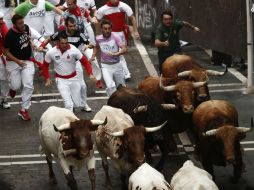 Tras un encierro sin cornadas y con varias caídas, los animales fueron conducidos a los chiqueros sin mayor novedad. EFE / J. Lizón