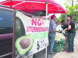 Desde hace un mes, Gerardo Díaz (de gorra) se dedica a la venta de aguacate que ofrece en un puesto ambulante dos veces a la semana. EL INFORMADOR / R. Tamayo