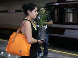 Cualquier persona puede adoptar un árbol para de esta manera mejorar la calidad del aire en Guadalajara. EL INFORMADOR / ARCHIVO