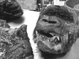 Fotografías dadas a conocer exponen la manera en la que se llevó a cabo la necropsia de 'Bantú'. SUN / ESPECIAL