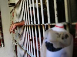 Todo apunta a que los prófugos huyeron a bordo de un taxi. EL INFORMADOR / ARCHIVO