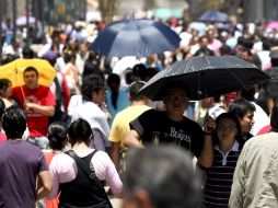 La relevancia de la tendencia mundial de aumento de las temperaturas se ve superada por el calentamiento de la región ártica. SUN / ARCHIVO