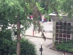 Usuaria de redes sociales publica en su cuenta una grabación donde se mira el momento en que la gente escapa de la balacera. TWITTER / @thaminastoll