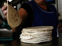 Las tortillas de maíz tienen un alto contenido en fibra, calcio, niacina, ácido fólico, vitaminas A, B, C, D y E. EL INFORMADOR / ARCHIVO