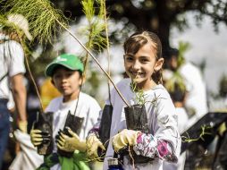 La reforestación es uno de los aspectos en los que se busca crear conciencia social en México. EL INFORMADOR / Archivo