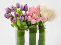 La venta en línea productos locales, impulsa el crecimiento de las pequeñas y medianas empresas lo que ayuda a la economía ESPECIAL /