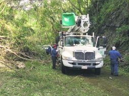 El huracán 'Patricia', que afectó las costas de Jalisco en 2015, causó severos daños en el arbolado de nueve municipios. EL INFORMADOR / H. Escamilla