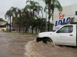 Se presentan inundaciones en calles y avenidas, así como caída de árboles. NTX / A. Covarrubias