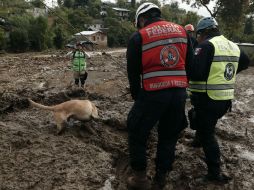 Los lugares donde hubo deslaves y murieron 29 personas tras el paso de 'Earl', son La Joya, Guadalupe, Aurora y La Cumbre. EFE / H. Ortuño