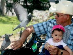 El legado de los adultos mayores tiene un alto valor social por el conocimiento y la experiencia acumulada en años de vida. EL INFORMADOR / ARCHIVO