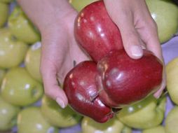 La nutrióloga subraya que cuidar la higiene de los alimentos es fundamental. EL INFORMADOR / ARCHIVO