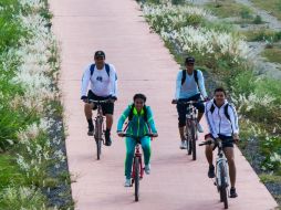 Recomiendan actividades recreativas o de ocio por ejemplo, paseos a pie o en bicicleta. EL INFORMADOR / ARCHIVO