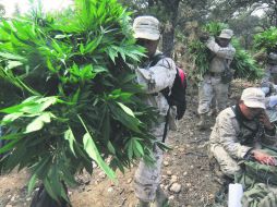 Expertos de la ponencia 'El problema de las drogas. A revisión' urgieron al Congreso de la Unión a regular el consumo de la mariguana. NTX / ARCHIVO