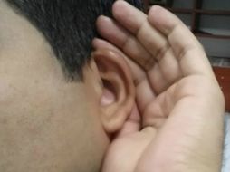 Una vez que se produce la hipoacusia, es irreversible, derivado de que las células del oído no son capaces de regenerarse. EL INFORMADOR / ARCHIVO