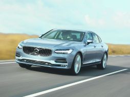 Elegante. Este escandinavo tiene un gran porte. ESPECIAL / CORTESÍA