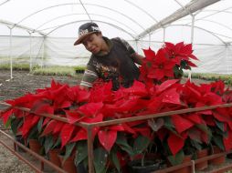 Indican que el municipio se ahorró alrededor de 70 mil pesos por hacer la compra en agosto y no hasta octubre o noviembre. NTX / ARCHIVO