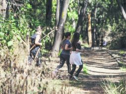 El Bosque Los Colomos es adoptado por los 'runners' como un sitio idóneo para realizar sus sesiones de entrenamiento. EL INFORMADOR / R. Tamayo