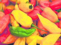 Los chiles son parte central de ambas gastronomías. ESPECIAL / G. Tubbeh